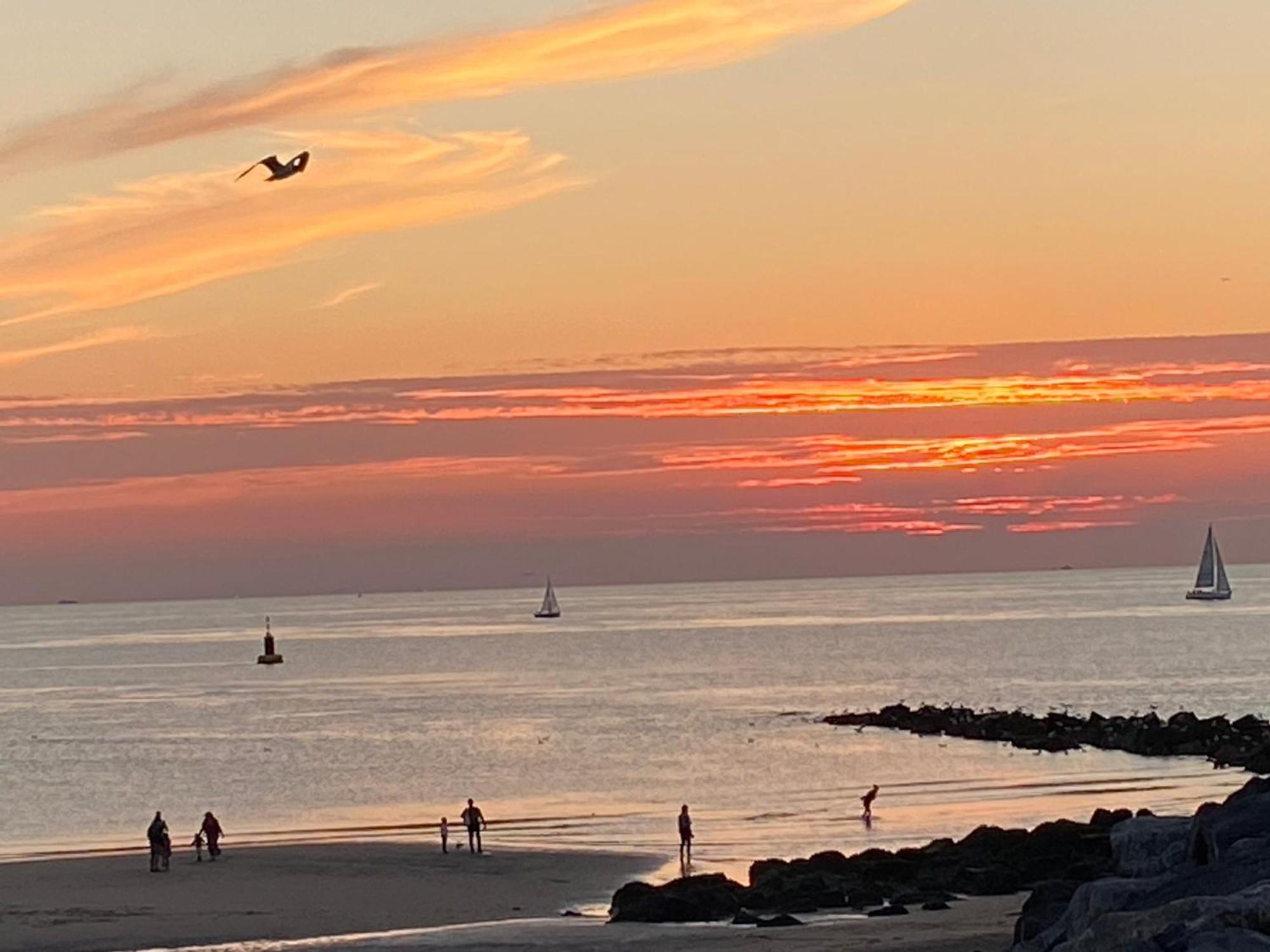 Immaya Oostende Bagian luar foto